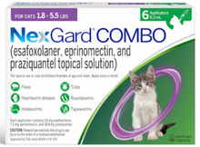 NexGard® COMBO 12 PACK