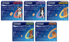 NexGard® PLUS 12 PACK