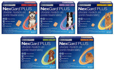 NexGard® PLUS 12 PACK