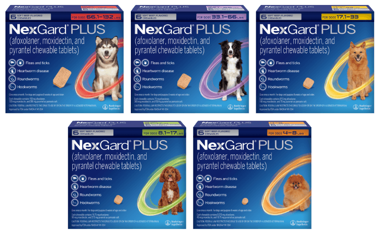 Nexgard top 12 pack