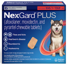 NexGard® PLUS 12 PACK