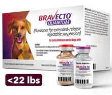 Bravecto Quantum INJECTION