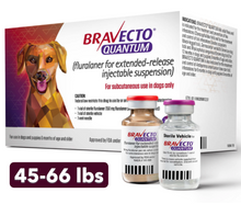 Bravecto Quantum INJECTION