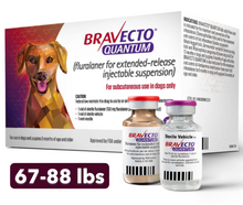 Bravecto Quantum INJECTION