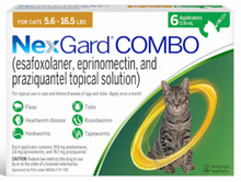 NexGard® COMBO 12 PACK