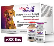 Bravecto Quantum INJECTION