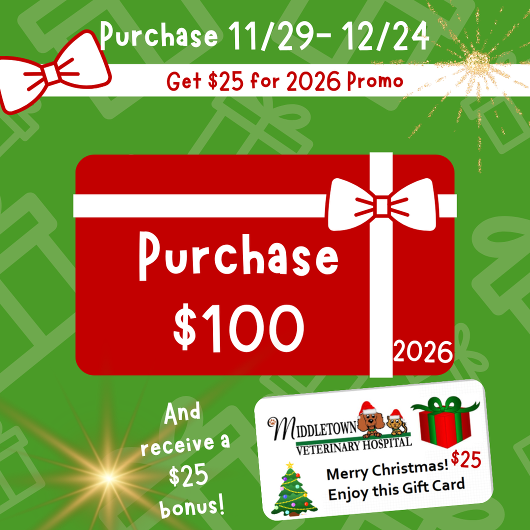 A Christmas Gift Card SPECIAL