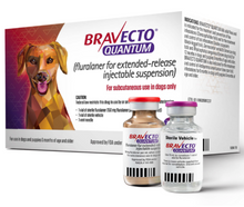 Bravecto Quantum INJECTION