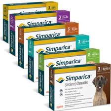 Simparica (Flea/Tick only) 12 pack