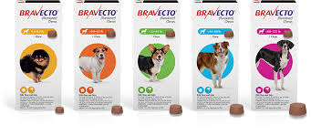 Bravecto Chew 4 pack