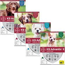 K9 Advantix II (Topical) 12 pack