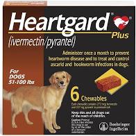 HEARTGARD® Plus 12 pack