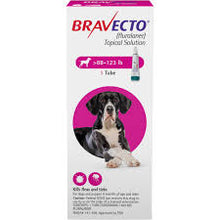 Bravecto TOPICAL Canine 4 pack