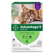 Advantage II for Cats (12 Pack)