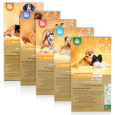 Advantage Multi for Dogs 12 pack