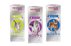 Bravecto PLUS Topical Feline (6 Pack)