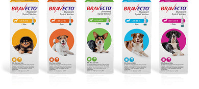 Bravecto TOPICAL Canine 4 pack
