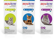 Bravecto TOPICAL Canine 4 pack