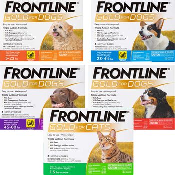 Frontline 12 pack