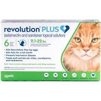 Revolution Plus for Cats 12 pack