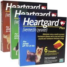 HEARTGARD® Plus 12 pack