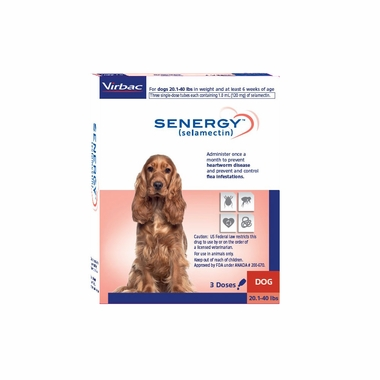 Senergy Dog 12 pack (Generic Revolution)