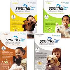 Sentinel 12 pack