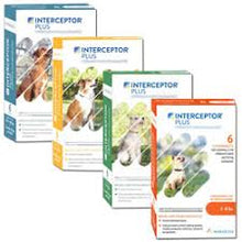 Interceptor PLUS 12 pack