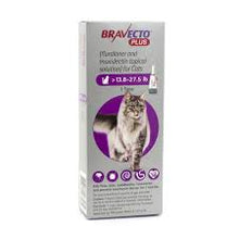 Bravecto PLUS Topical Feline (6 Pack)