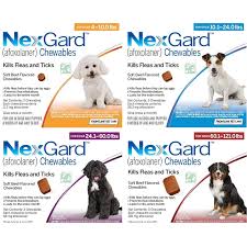 Nexgard Chewables 12 pack – Middletown Veterinary Hospital