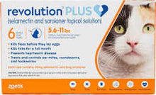 Revolution Plus for Cats 12 pack