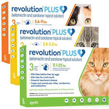 Revolution Plus for Cats 12 pack