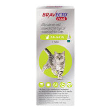 Bravecto PLUS Topical Feline (6 Pack)