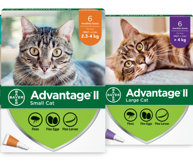 Advantage II for Cats (12 Pack)