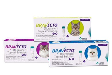 Bravecto TOPICAL Feline  4 pack