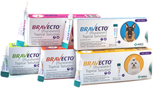 Bravecto TOPICAL Feline  4 pack