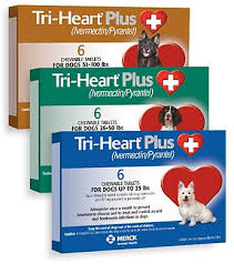 Tri-Heart Plus 12 pack