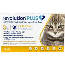 Revolution Plus for Cats 12 pack